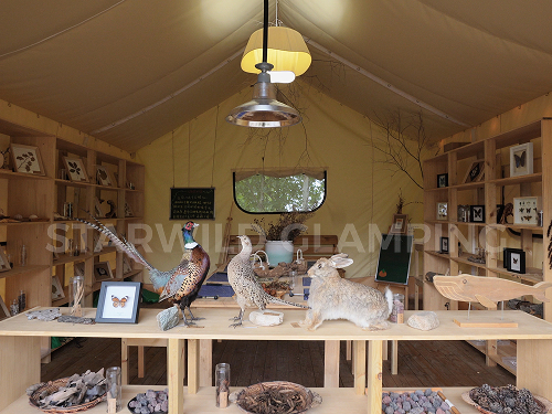 星野上 • 帐篷建筑案例 | 山东淄博日光浴营地